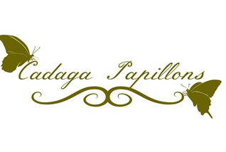 Cadaga