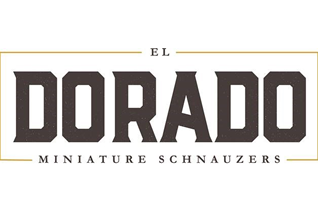 Dorado